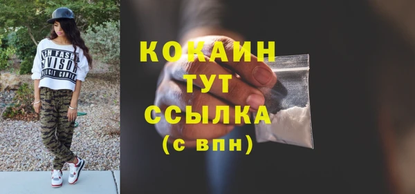 не бодяженный Заводоуковск