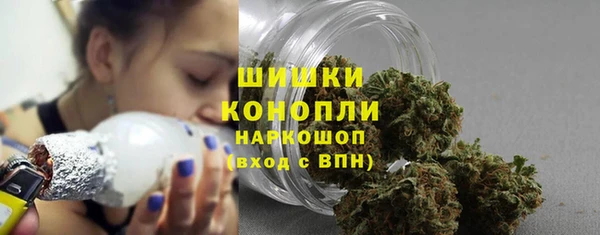 не бодяженный Заводоуковск