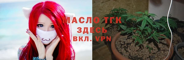 не бодяженный Заводоуковск