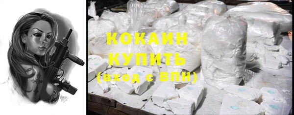 не бодяженный Заводоуковск