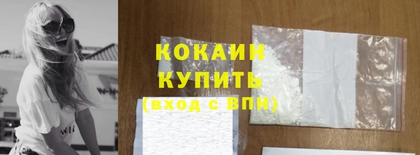 не бодяженный Заводоуковск