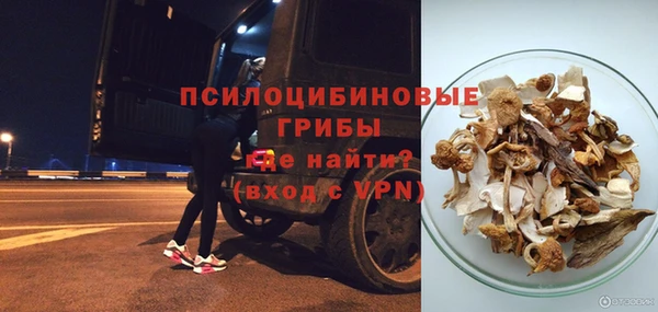 не бодяженный Заводоуковск