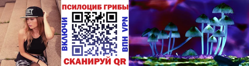Купить  Узловая  Псилоцибиновые грибы прущие грибы 
